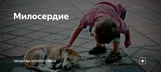 В чем проявляется милосердие к животным. Милосердие к животным. Животное Милосердие. Милосердие к животным нейросеть. Знак будь милосерден к животным.