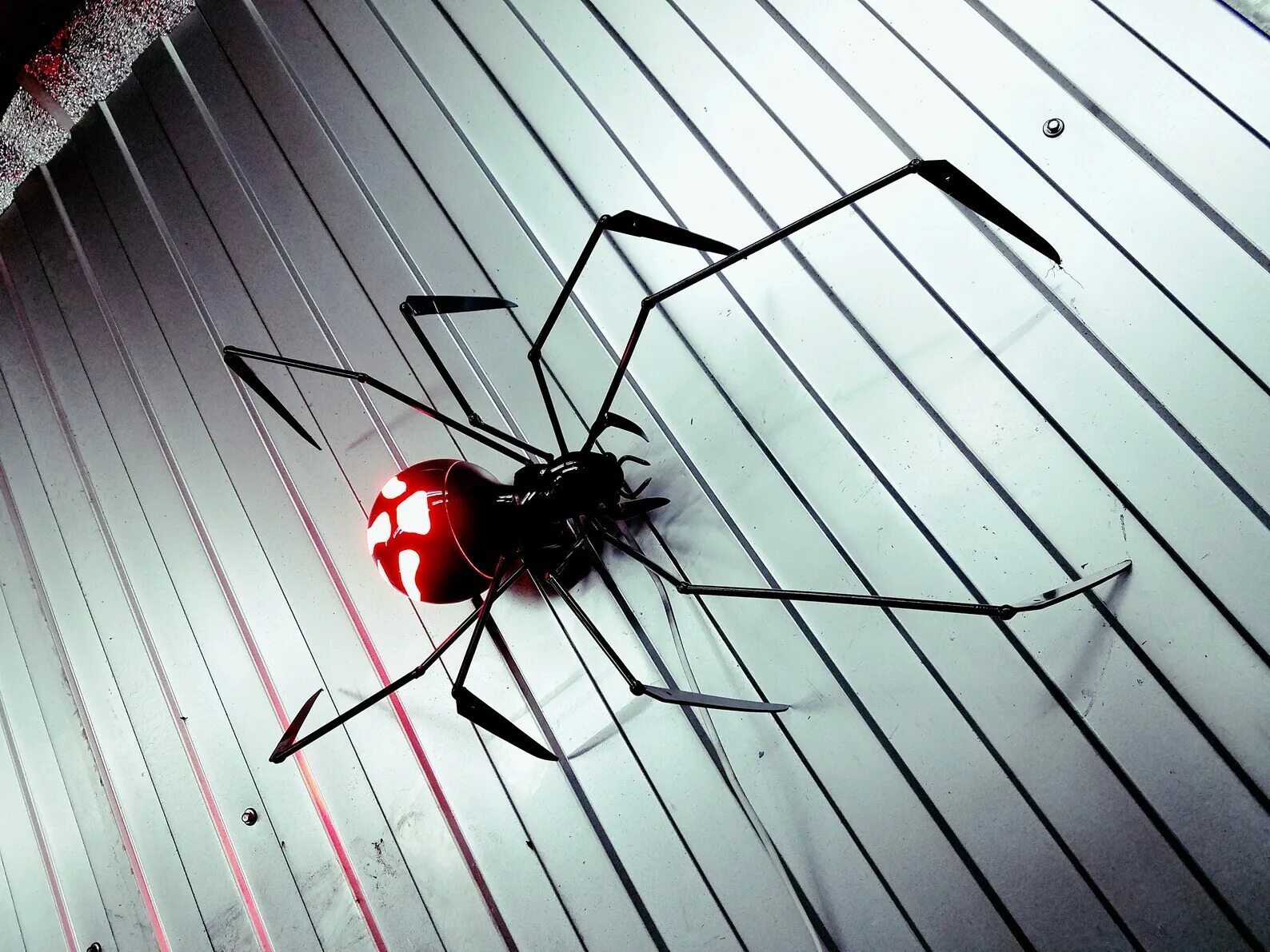 У какого паука черная паутина. Чёрная вдова паук паутина. Черная вдова паук паути. Чёрная вдова паук паутина черная. Черная вдова паук и ее паутина.