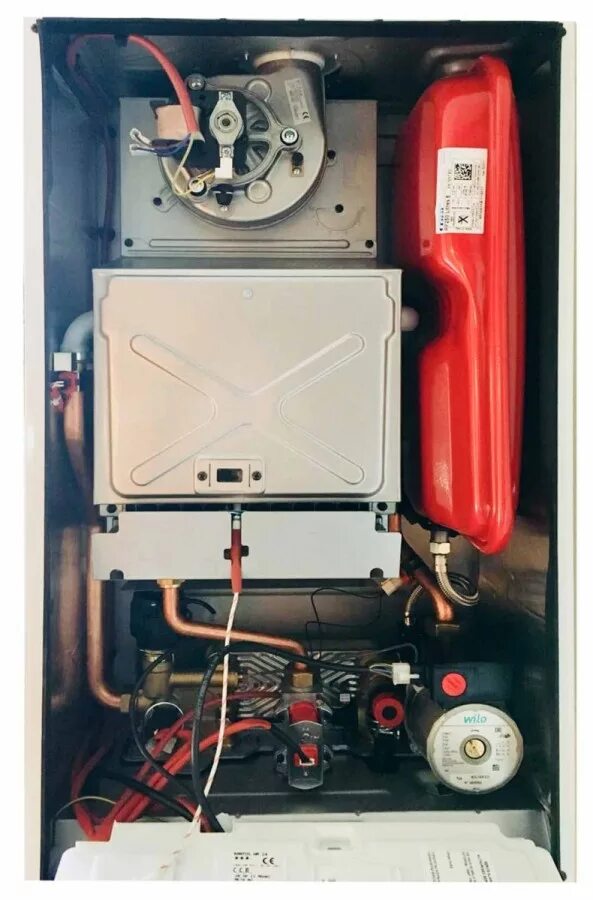 Газовый котел термекс 24 двухконтурный. Thermex f24 газовый котел. thermex euroelite f24 котёл настенный газовый. газовый котел thermex euroelite f24 24 квт двухконтурный. котел газовый thermex xantus hm24.
