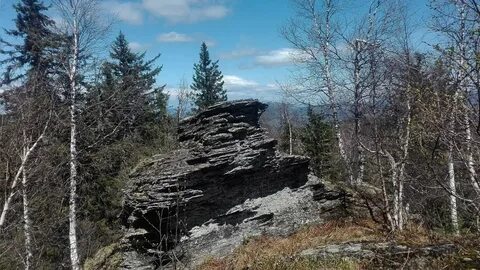 Дешев нький баш нка