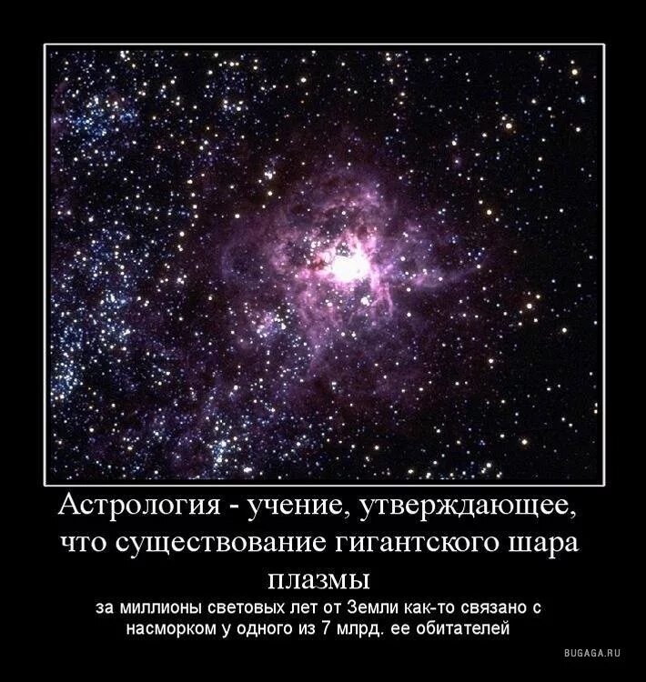 Люди верящие в астрологию егэ. Шутки про астрологию. Шутки про астрологов. Фразы астрология смешные. Высказывания об астрологии.