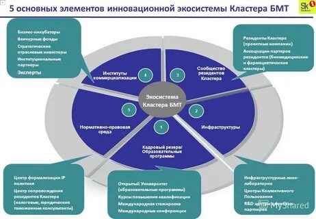 Самый главный компонент