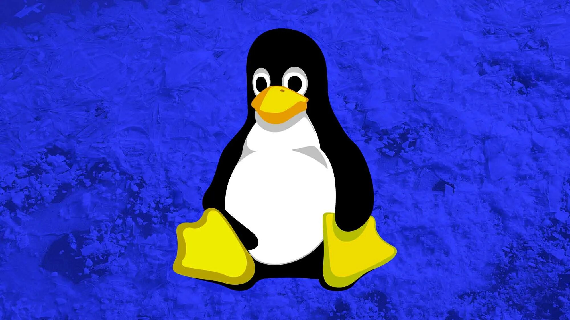 C linux os. Ос linux. ос linux пингвин. linux старый. пингвин линукс мем.