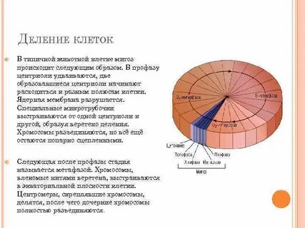 Центр деления