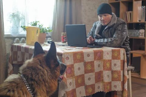 Пес 3 как зовут пса