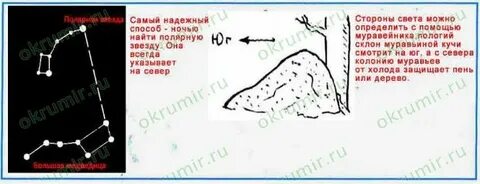 Ориентирование на местности 2 класс рабочая тетрадь