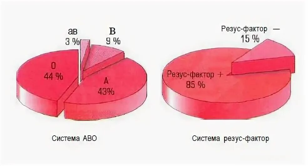 Группа крови. Диаграмма групп крови. Самая распространенная группа крови. Группа крови по расам. Самая 1 группа крови