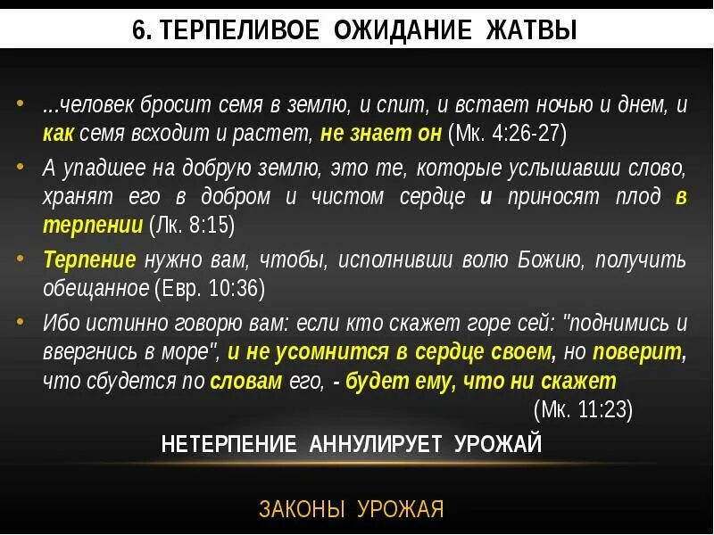 Кидала значение. Бросать семя в землю лучше в безветренную погоду. Бросать семя в землю лучше в безветренную погоду объяснение. Бросать семя в землю лучше в безветренную погоду объяснить. Что значит выражение бросать семя в землю лучше в безветренную погоду.