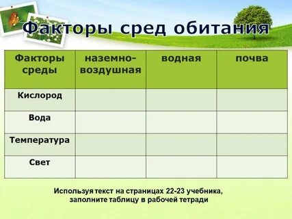 Среда обитания синицы наземно воздушная