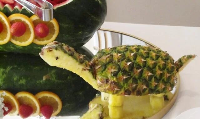 Turtle turtle fruit