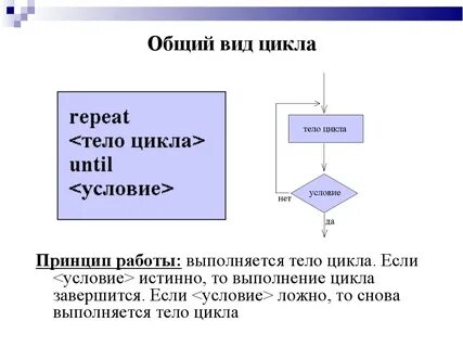 Общий цикл это