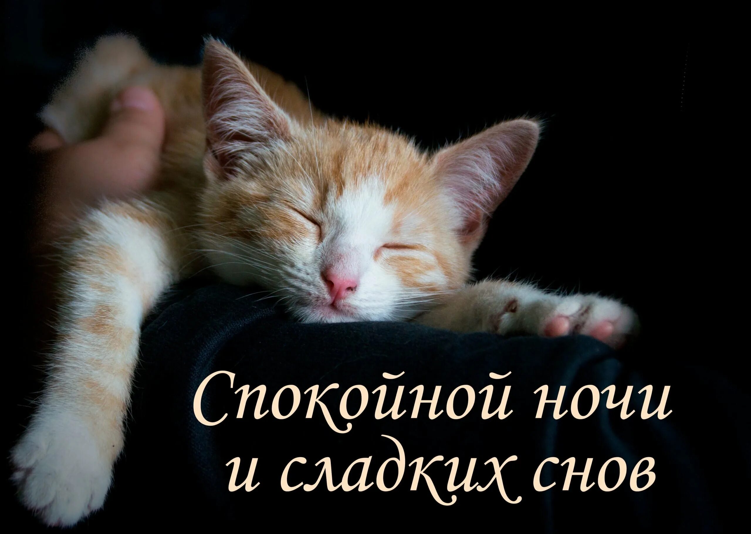 Пора уснуть последним сном