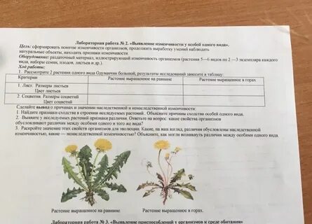 Биология лабораторная по растениям