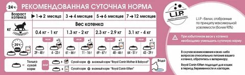 Сколько котенку нужно сухого корма в день