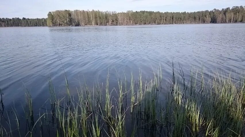 Щучье озеро Пермский край. Поселок Щучье озеро Пермский край. Щучье озеро Пермский край Октябрьский район. Станция Щучье озеро Пермский край.