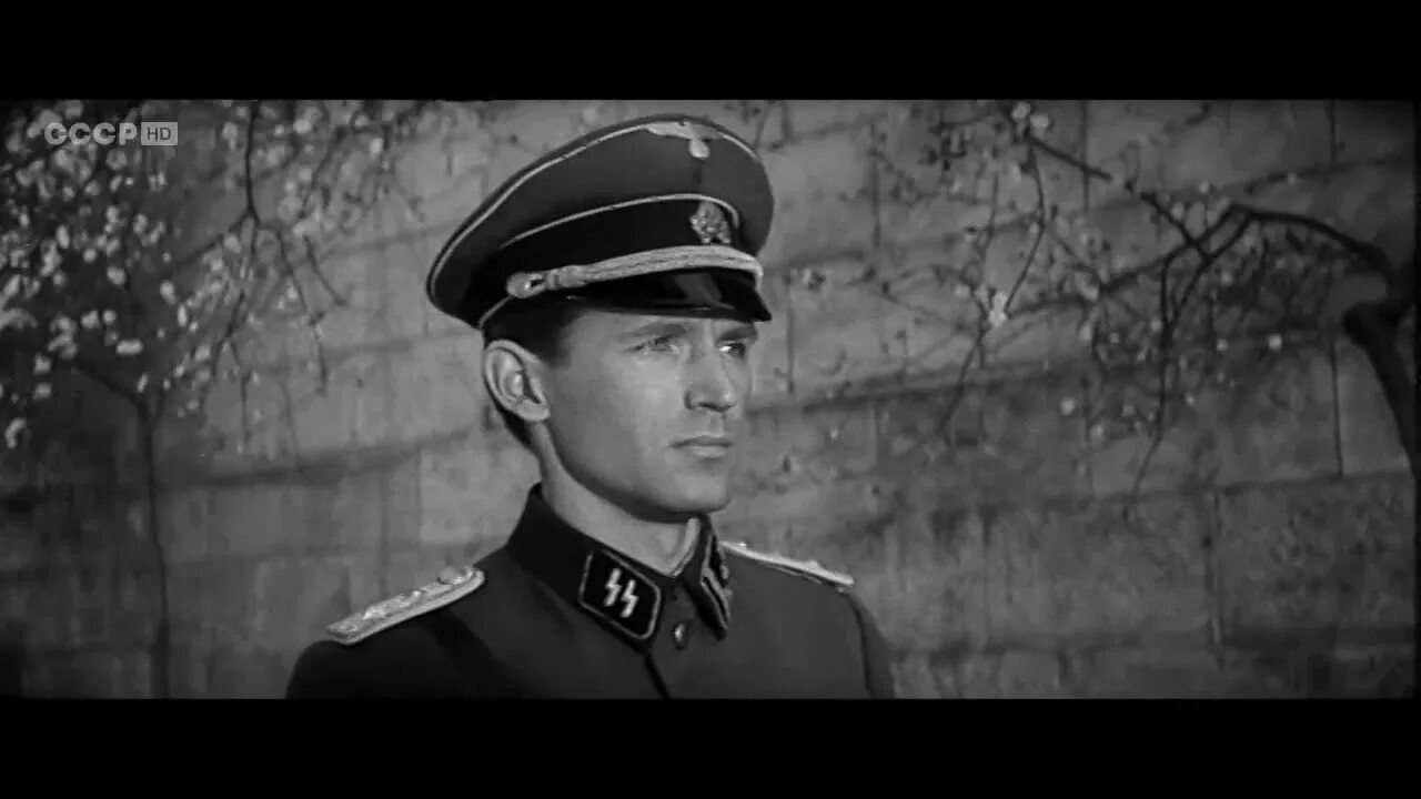 Людмила чурсина в "щит и меч" (1968). Щит и меч фильм 1968 кадры. Щит и меч фильм 1968 любшин. Любшин щит и меч. Крепость щитом и мечом федор.