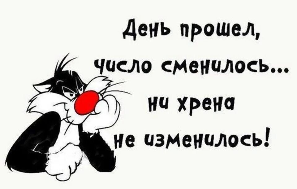 Ну скажи. Замес мем. Ну у меня проходит. Прости меня я люблю тебя. Диб хлебушек.