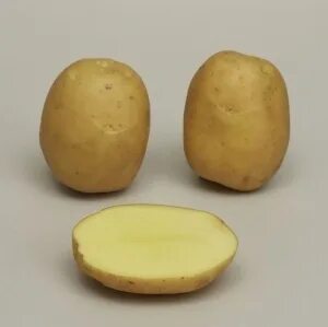 Картофель эстрелла