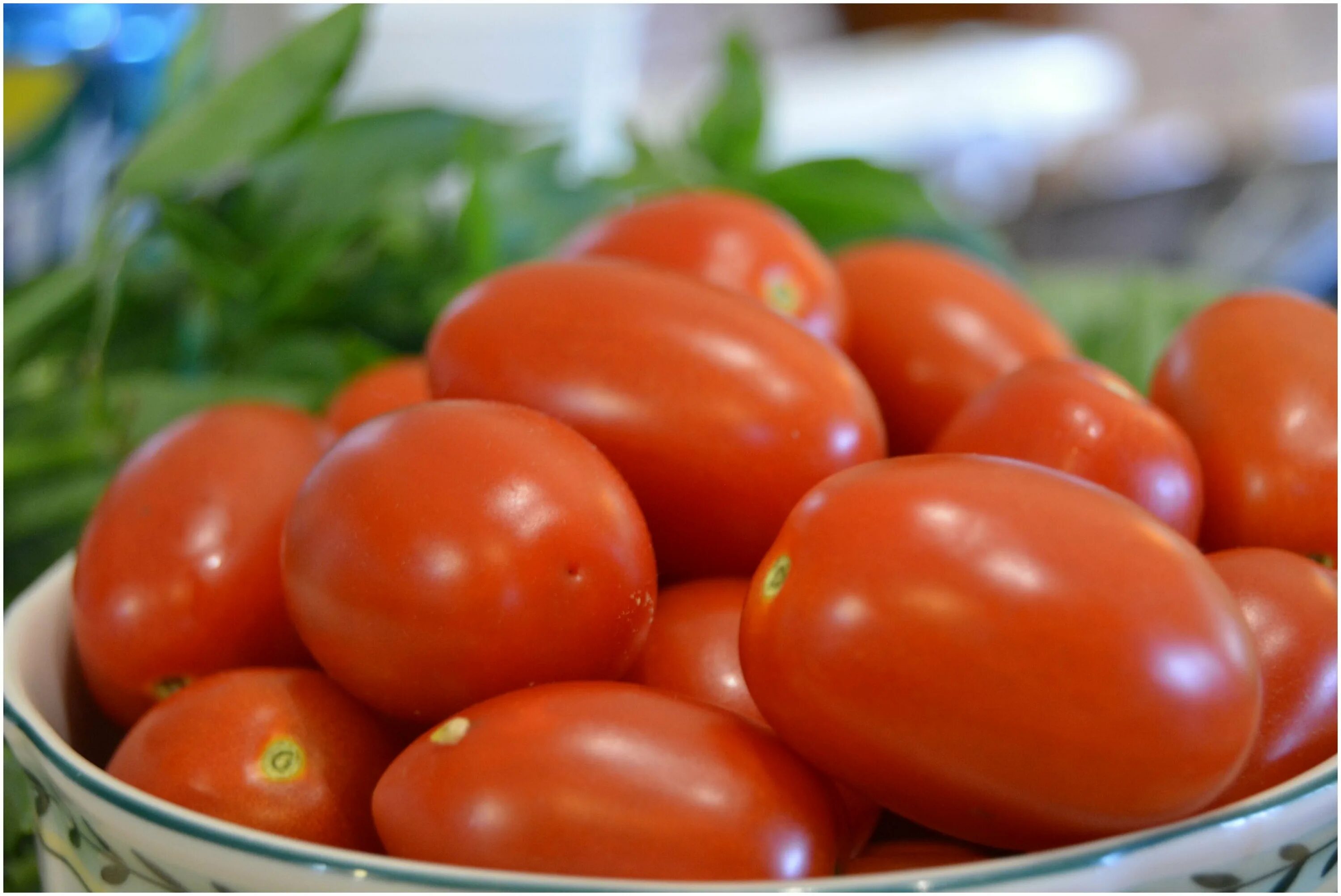 Сорт томата беталюкс. Datterino томат. Тушёные помидоры с чесноком. Помидор сок. Помидорный рассол.