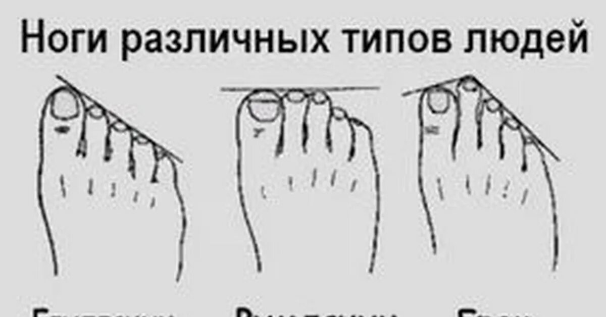 Почему пульсирует на ноге. Ноги различных типов людей. ноги различных типов людей картинка. ноги различных типов людей мем. почему пульсирует нога.