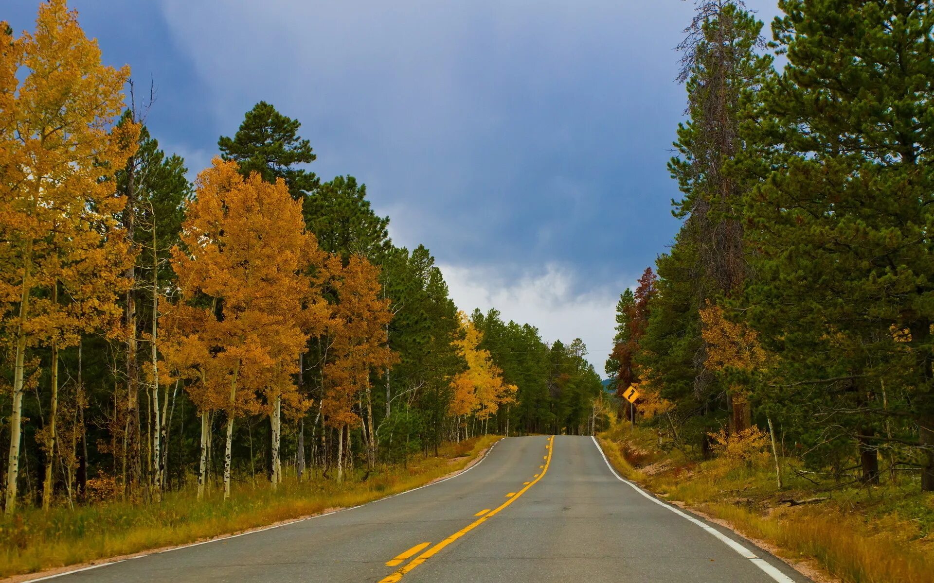 Осенняя дорога. Деревья вдоль трассы. Дорога в осень. Дорога в лесу.