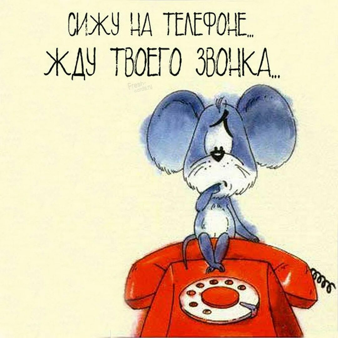 Про тебя звонкий. Я жду твоего звонка. Открытка жду звонка. Смешная картинка жду звонка. Открытка а я ждала твоего звонка.