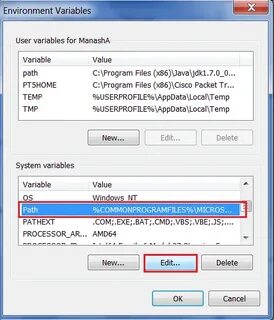 Process environment variables