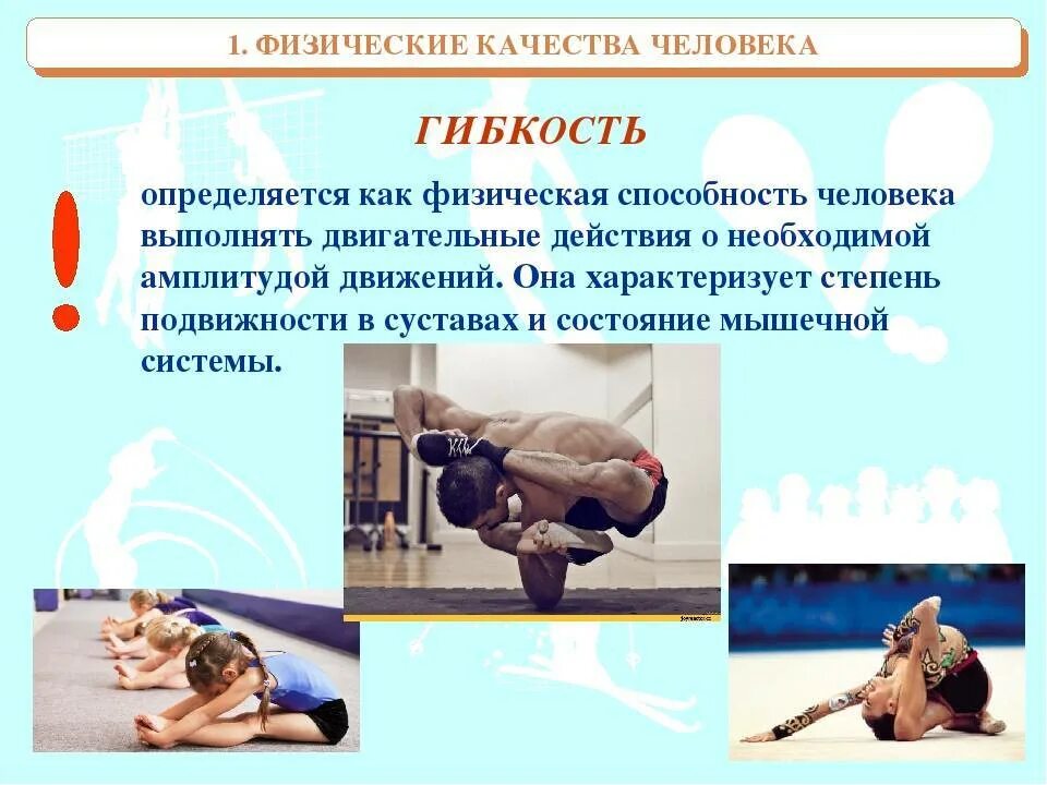 Определение выносливости определение гибкости. Физическое качество гибкость. физические упражнения для развития ловкости. упражнения для развития гибкости. физическое качество гибкость упражнения.