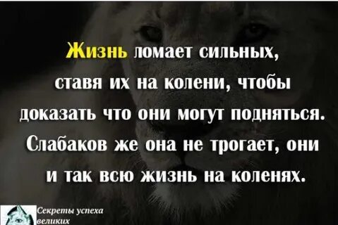 Я ломал ей кости пока она корчилась