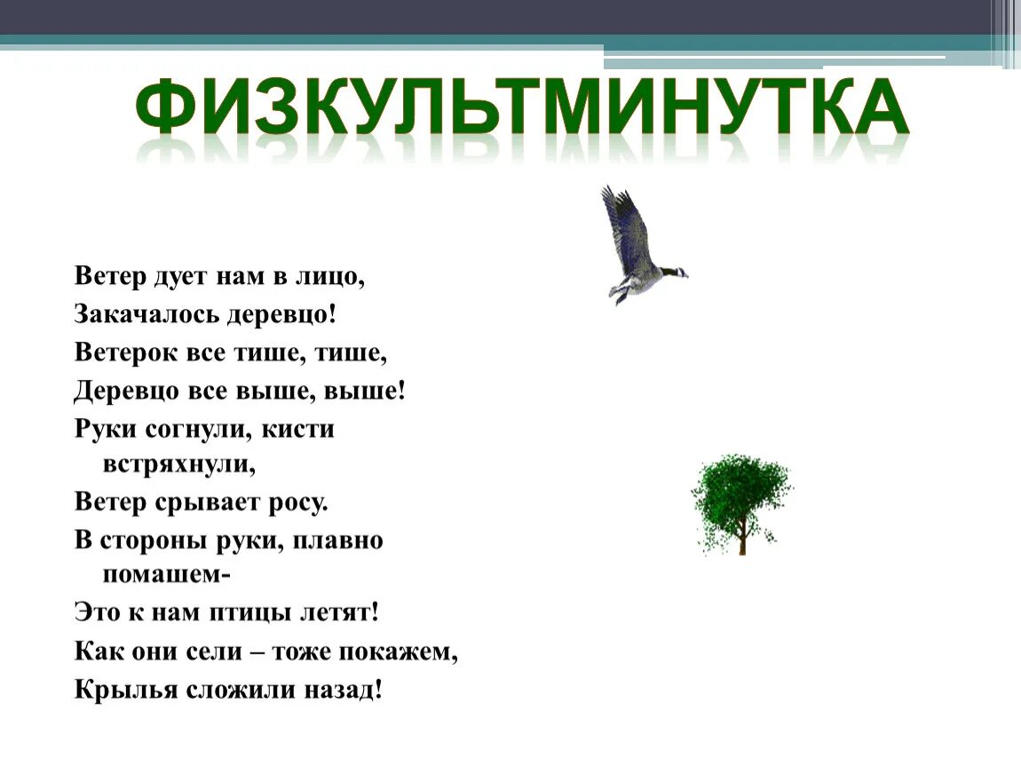 Ветер дует нам в лицо физкультминутка. Закачалось деревцо физминутка. Физкультминутка ветер дует нам в лицо закачалось деревцо. Стихотворение ветер дует нам в лицо закачалось деревцо. Песни ветер дует в лицо