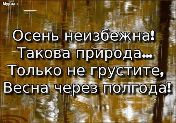 Если мужик. Спустя полгода отношений. Почему через полгода. Почему через полгода. Открытка на полгода отношений.