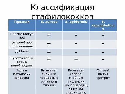 Группы стрептококков таблица