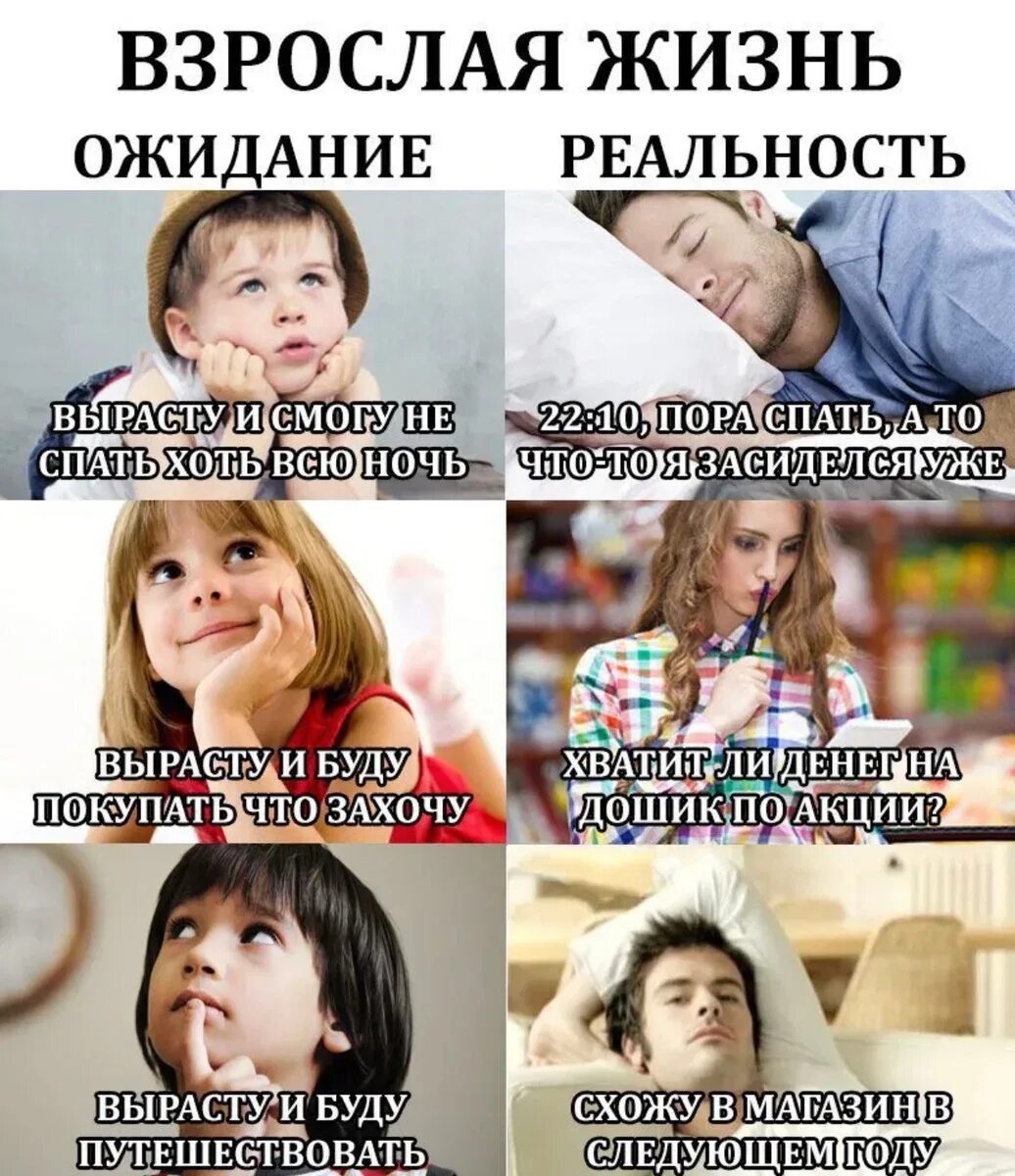 Алко-битардская настольная игра Настольные игры, Книги, Игры