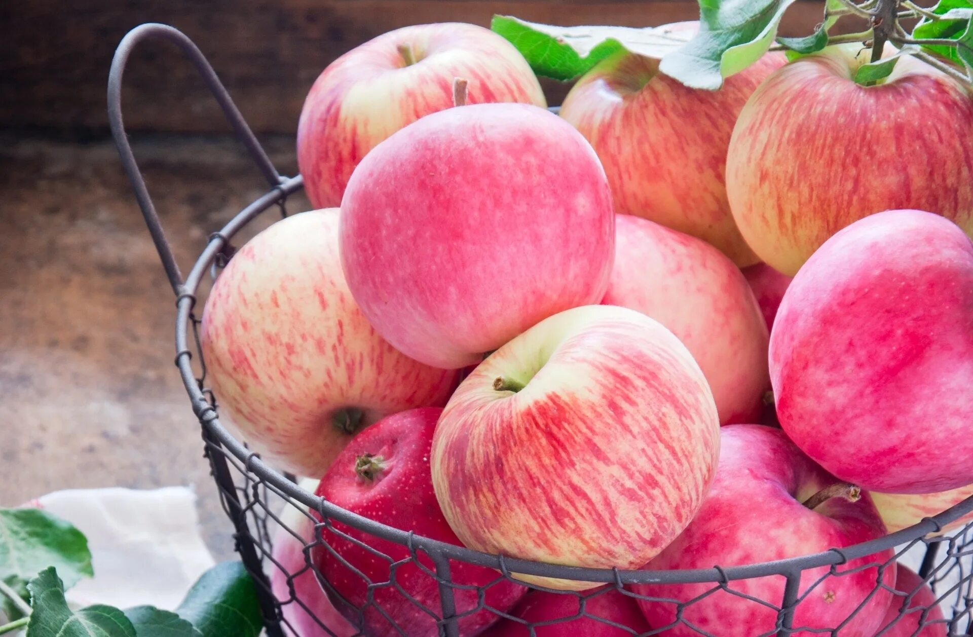 Сочные сорта яблок. Яблоки Штрифель. Яблоня летний сорт розовый налив. Красивое яблоко. Розовое яблоко.