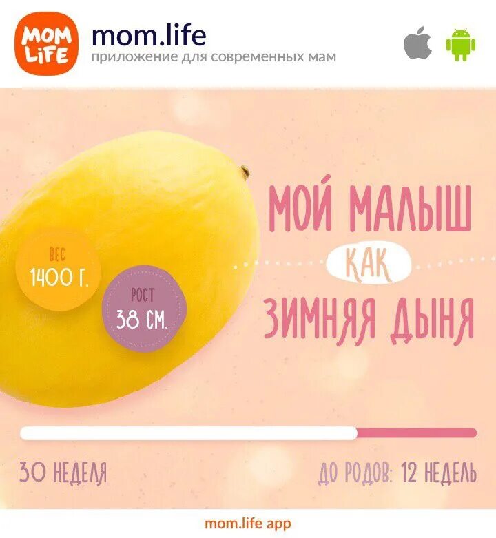 Мам лайф приложение. Mom Life. Mom Live.