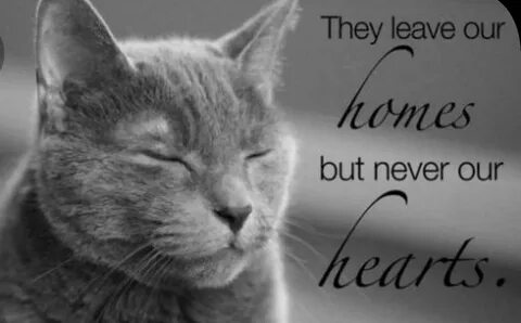 They leave
