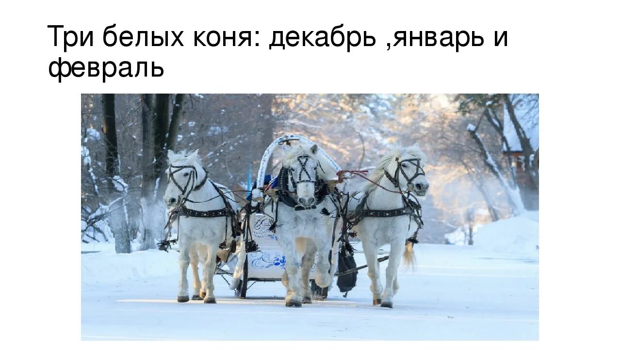Три белых коня декабрь январь и февраль текст. Три белых коня декабрь. Лошади декабрь январь и февраль. Эх 3 белых коня. Слова песен три коня