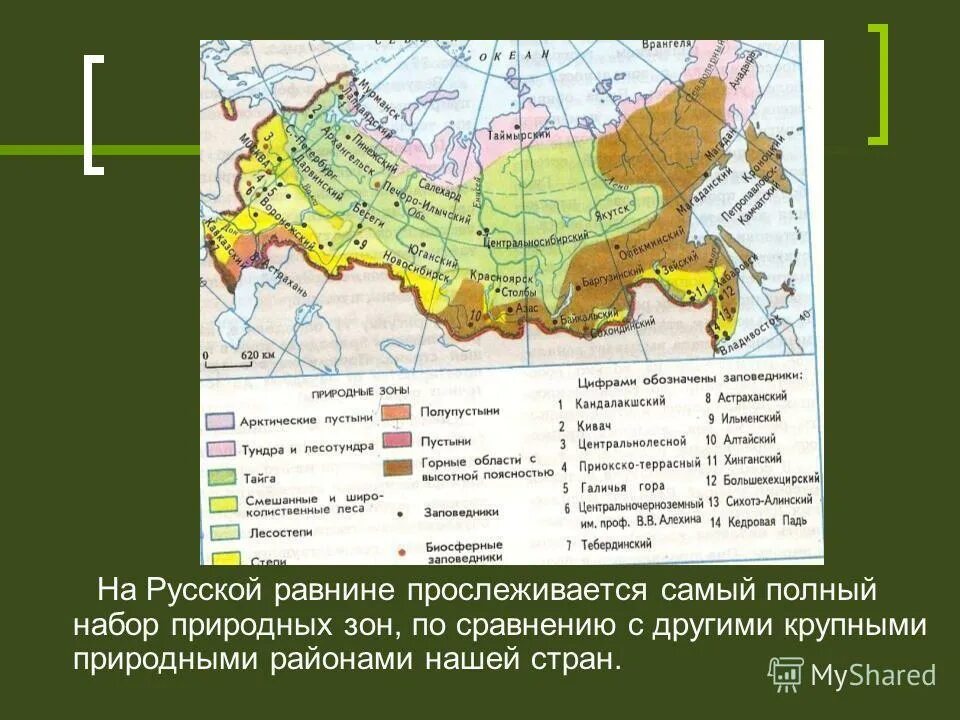 Какая природная зона в тульской области. Природные зоны Восточно европейской равнины на карте. Природные зоны Восточно европейской равнины. Русская равнина на карте России природные зоны. Природные зоны на русской равнине география 8.