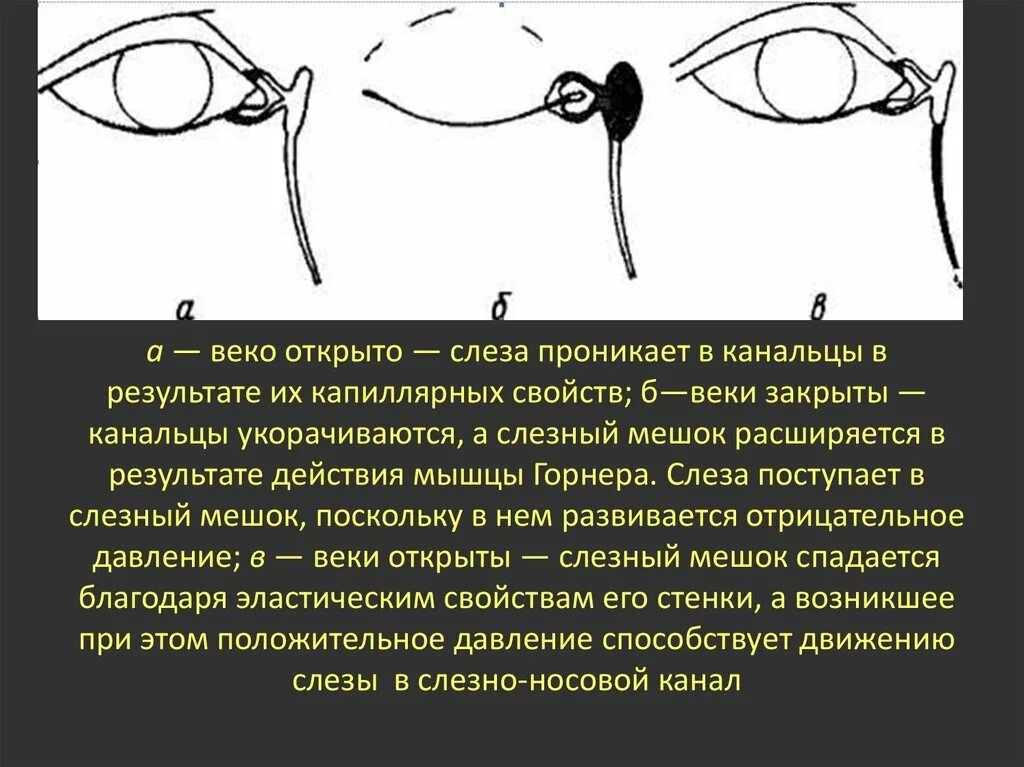 Как прочистить слезные каналы. Зондирование и промывание слезных путей. Зонды для зондирования слезных путей. Промывание слезных путей алгоритм. Промывание слёзных путей методика.