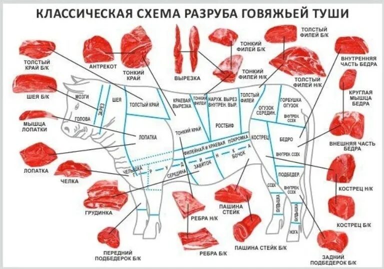 Схема разделки говяжьей туши с названиями частей. Классическая схема разруба говяжьей туши. Схема разрубки туши говядины схема. Говядина схема разруба говяжьей туши.