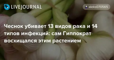 Чеснок натощак вред