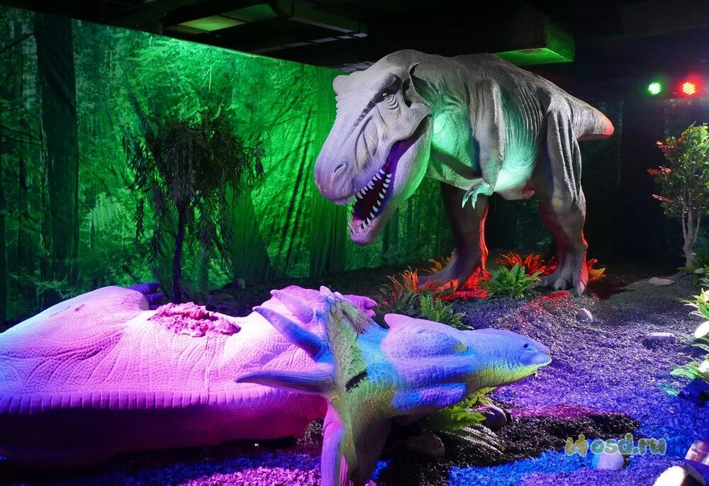 цдм динозавры на каникулах. музей динозавров в улан баторе. выставка динозавров в липецке в трц европа. динозавры екатеринбург. цдм динозавры на каникулах.