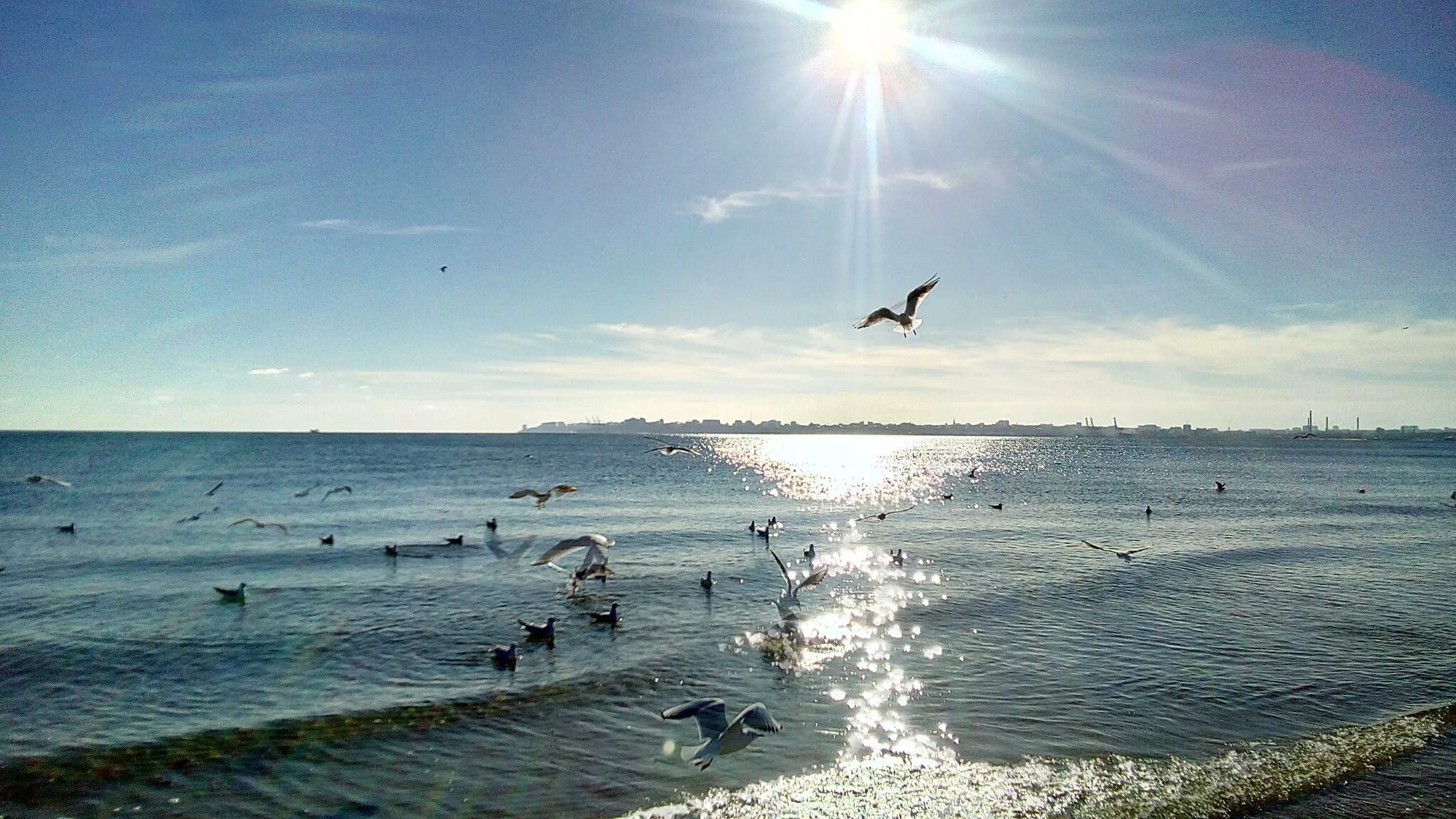 Одесское море. Черное море Одесса. Берег черного моря Одесса. Одесса море. Анапа черное море Одесса.