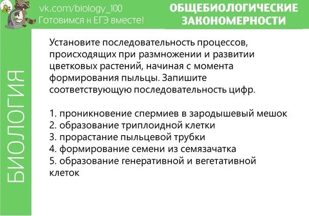 19 Задание ЕГЭ биология теория. Копытов 19 задание.