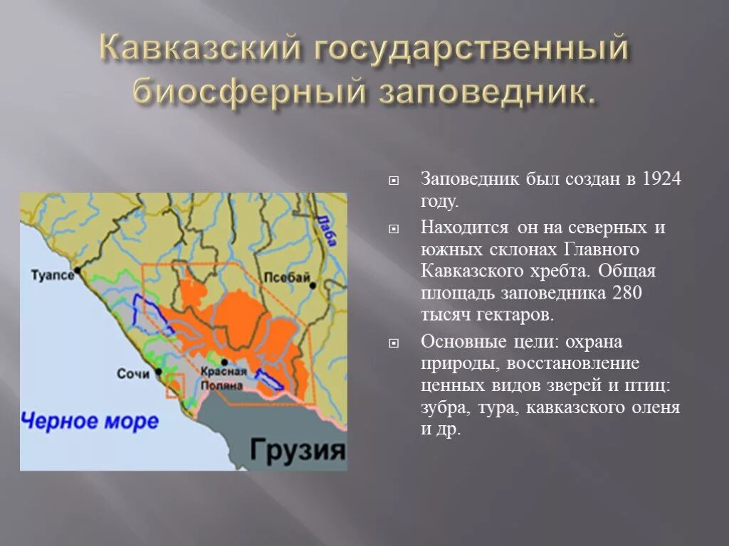 Кавказский биосферный заповедник площадь. Кавказ заповедник биосф. Биосферный заповедник Краснодарского края. Кавказский биосферный заповедник Сочи.