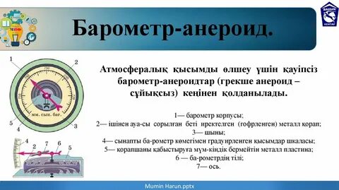 Жағажайдағы минет