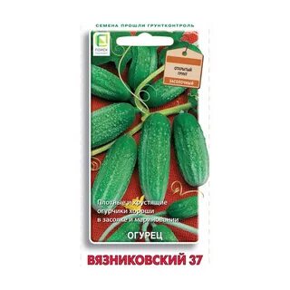 Найти семена огурцов