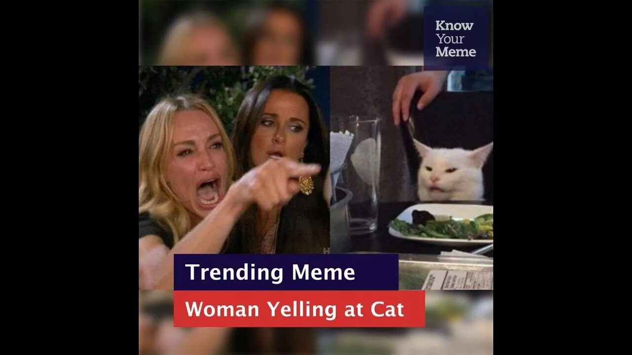 Trending memes. Yelling woman Cat blank. Woman and Cat meme. Women talking memes Cat.