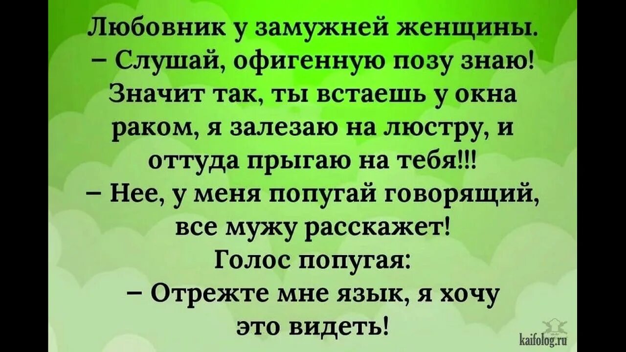 Анекдоты. Смешные анекдоты. Анекдоты в картинках. Анекдоты приколы. Хочешь смешные истории