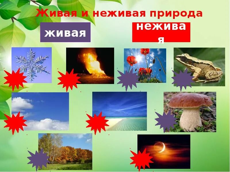 Неживая природа это. Объекты живой и неживой природы. Сообщение о живой и неживой природе. Россия Живая и неживая природа. Лес это Живая или неживая природа.